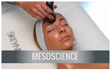 mesoscience